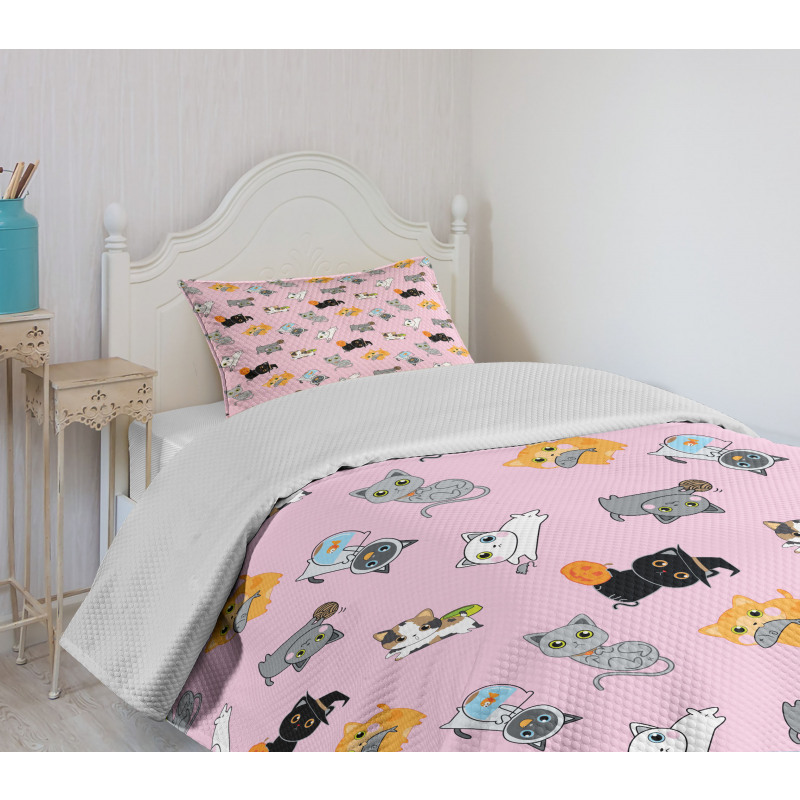 Colorful Baby Kittens Bedspread Set