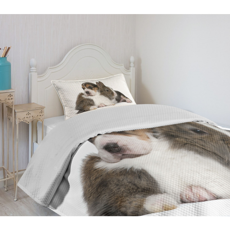 Rabbit Puppy Pet Friends Bedspread Set