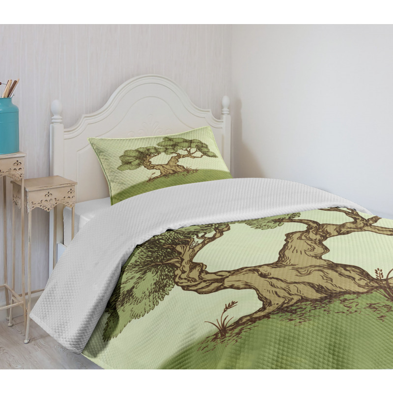 Spring Season Hills Olive Bedspread Set