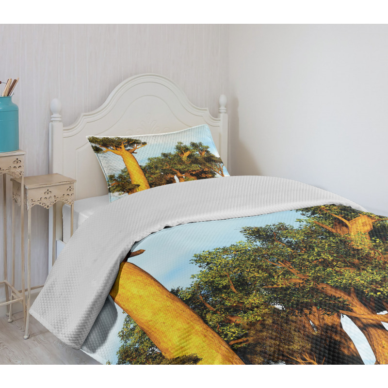 Tropical Baobabs Bedspread Set