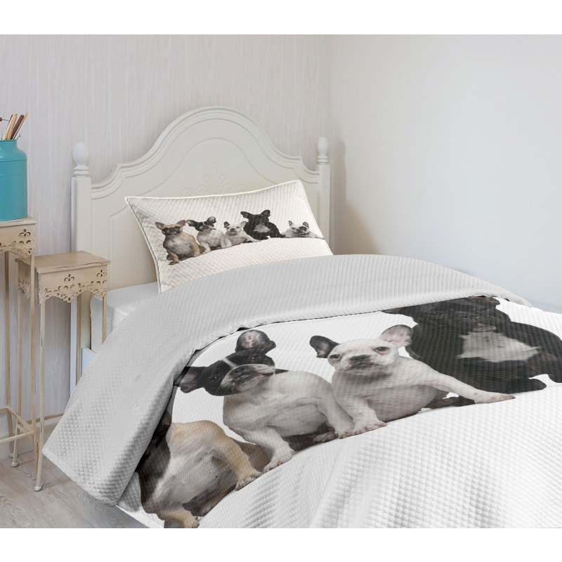 Young Doggies Photo Bedspread Set