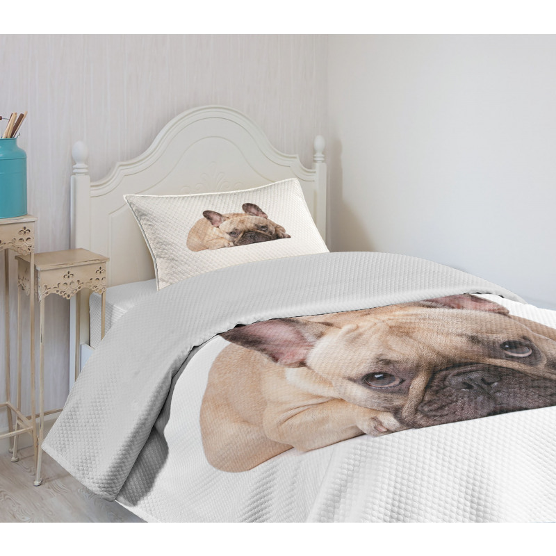 Funny Pet Animal Lovers Bedspread Set