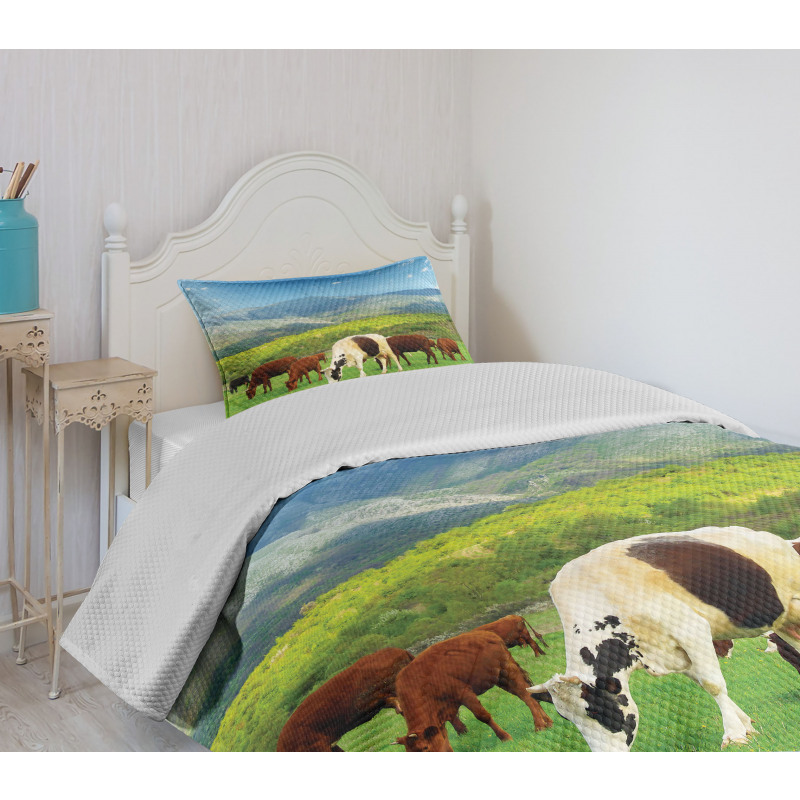 Spring Season Cottage Bedspread Set