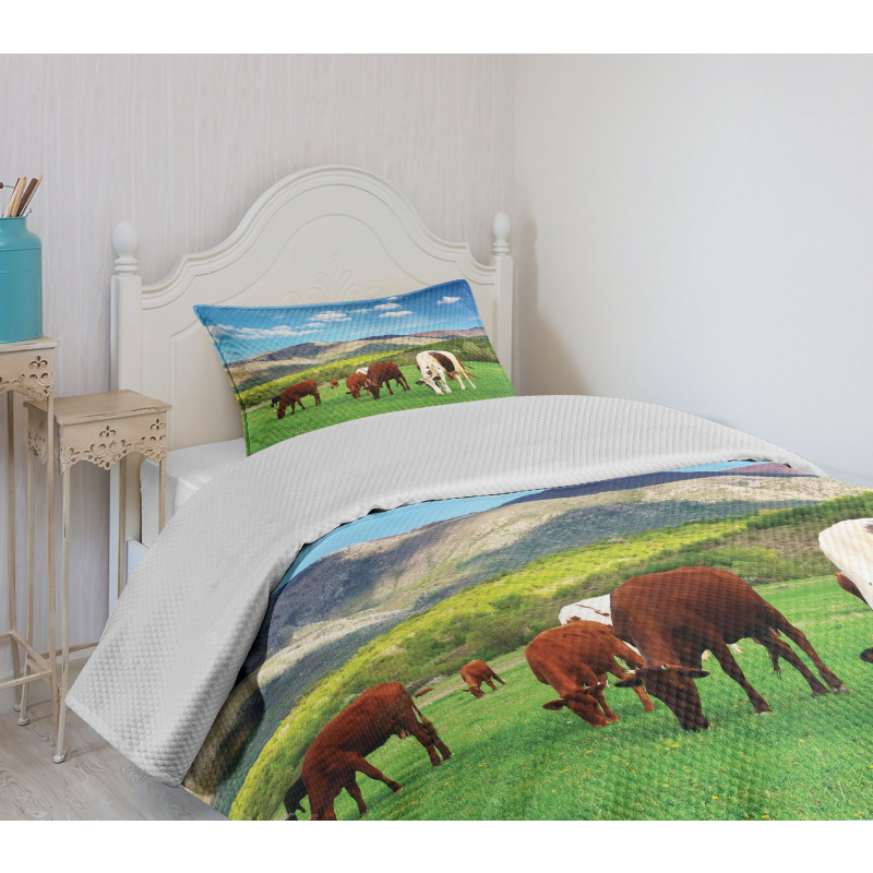 Cow Nature Composition Bedspread Set