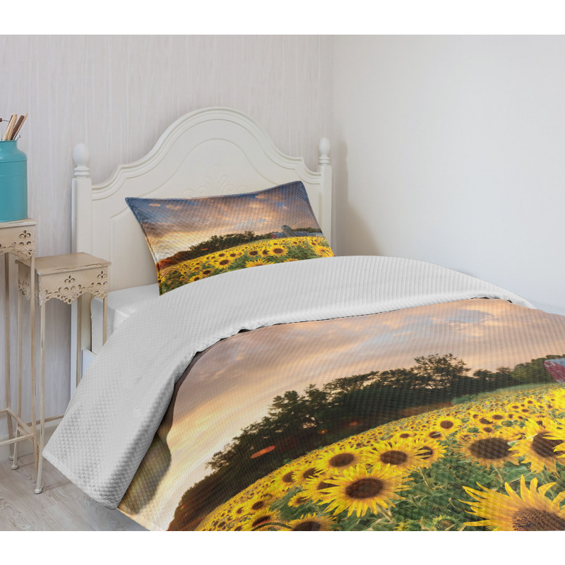 Sunflower Field Sky Bedspread Set