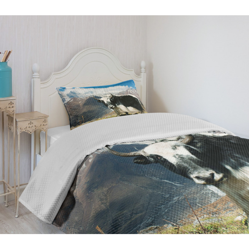 Bull Rural Mountains Bedspread Set