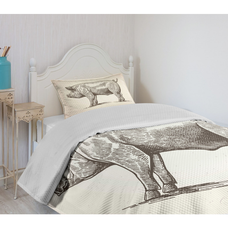 Vintage Hand-Drawn Image Bedspread Set