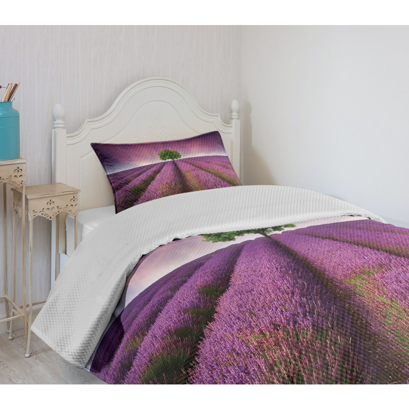 Lavender Fields and Tree Bedspread Set