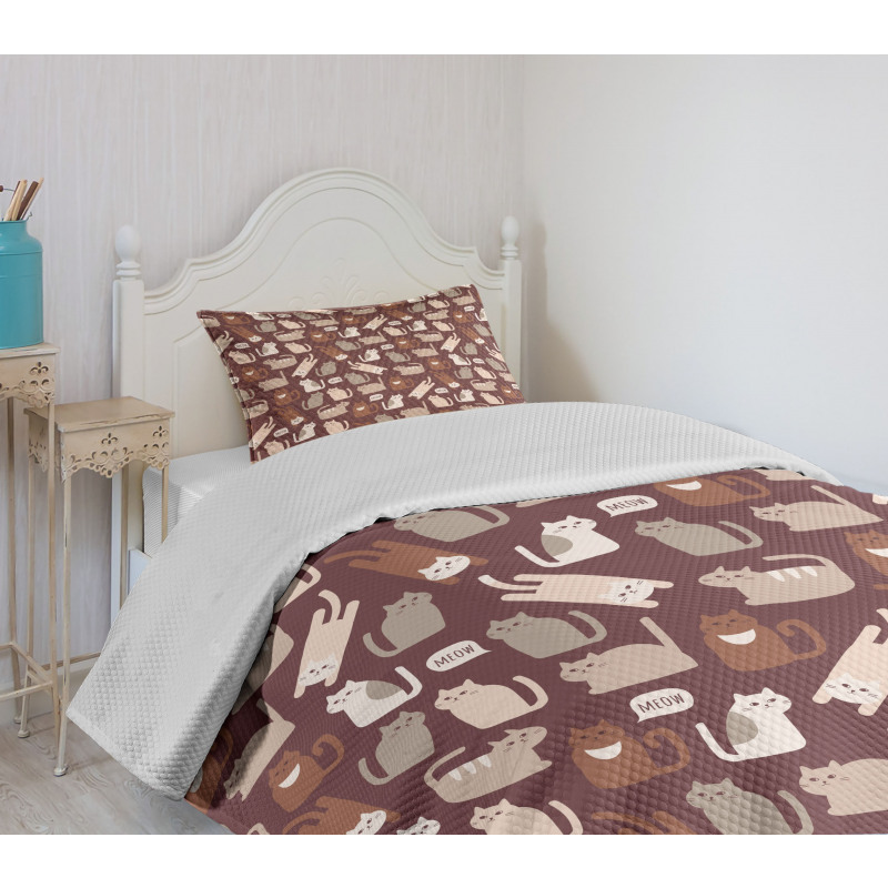 Funny Little Kittens Meow Bedspread Set