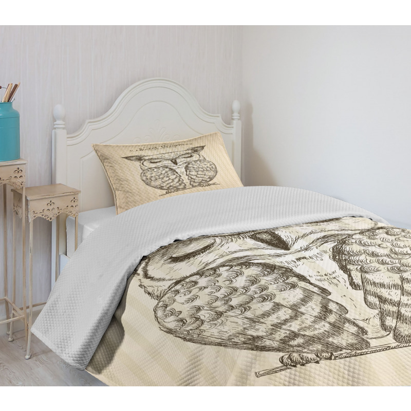 Sleeping Owl Dreams Bedspread Set