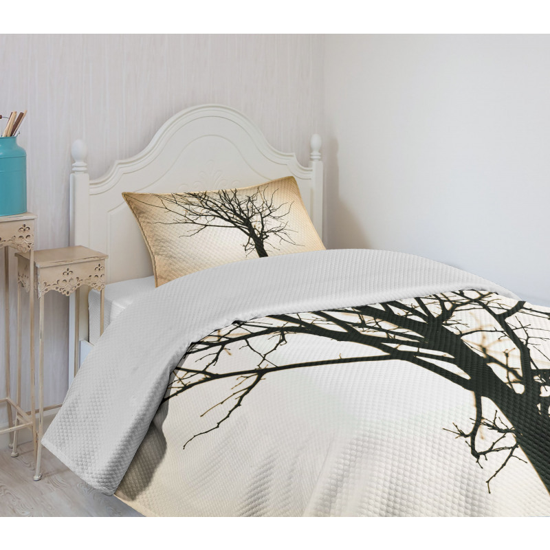 Barren Tree on Ombre Bedspread Set