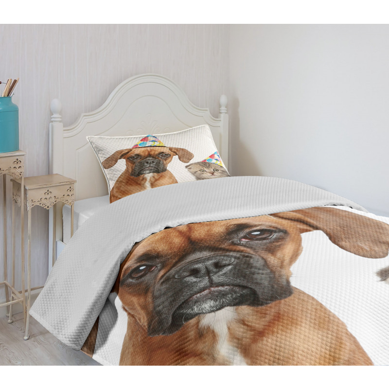 Funny Dog Scottish Cat Bedspread Set