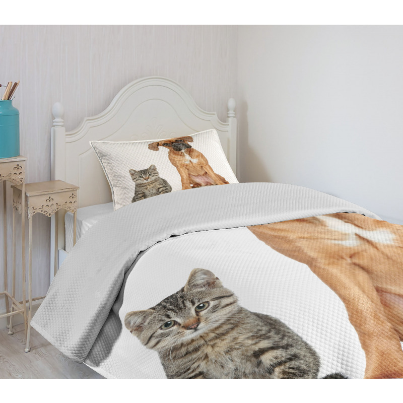 Cat Dog Animal Friends Bedspread Set