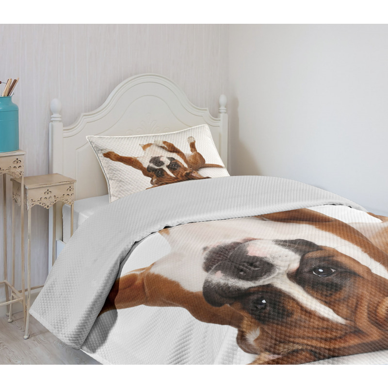 Funny Playful Puppy Image Bedspread Set