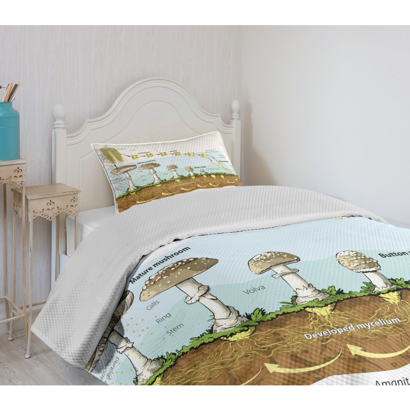 Life Cycle of Mushrooms Bedspread Set