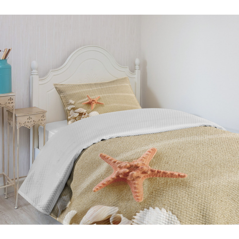 Exotic Seashells with Sand Bedspread Set