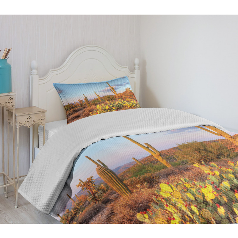 Cacti in Sonoran Desert Bedspread Set