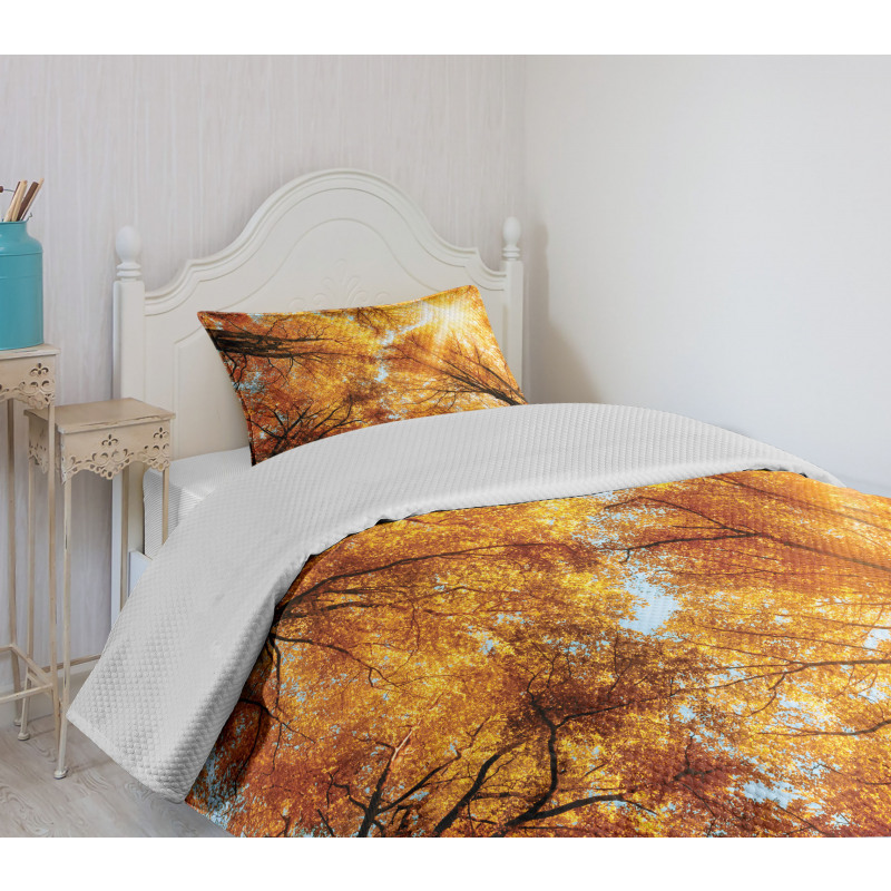 Autumn Sunbeams Forest Bedspread Set