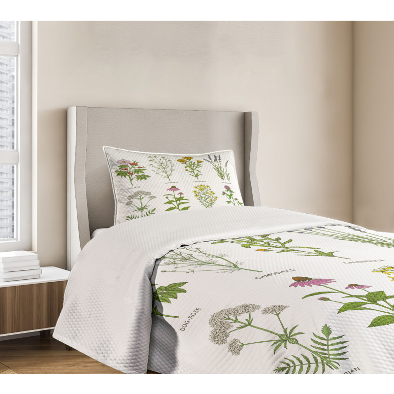 Natural Cosmetics Flowers Bedspread Set