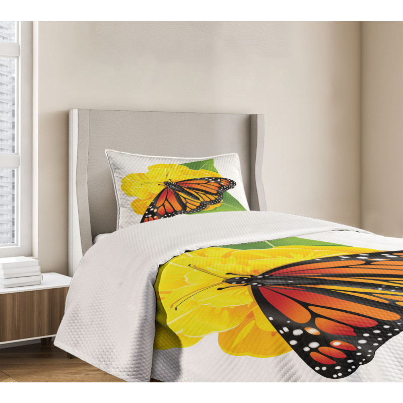 Moth Flower Bedspread Set