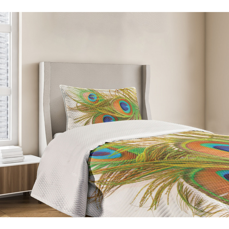 Modern Peacock Feathers Bedspread Set