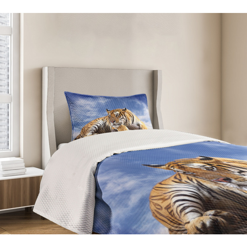 Tiger on Wood Wildlife Bedspread Set