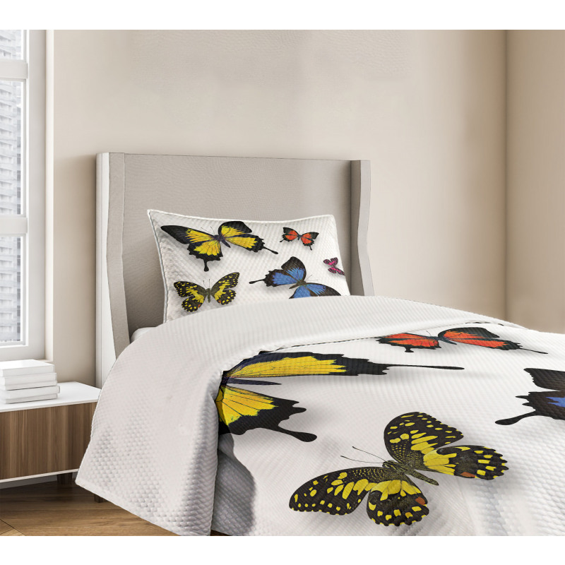 Nature Moths Wings Bedspread Set