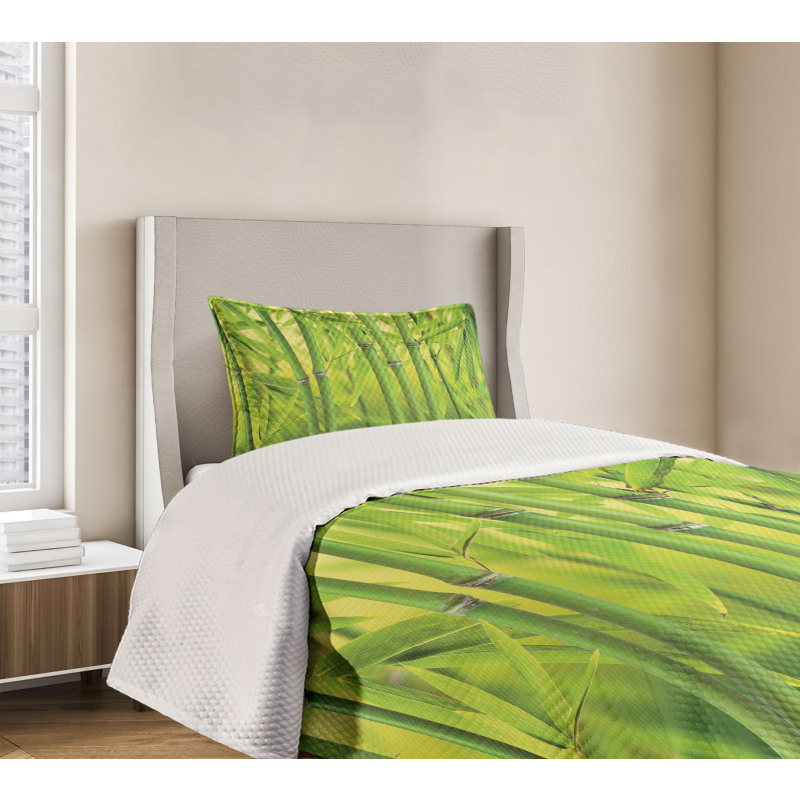 Bamboo Sprout Stem Forest Bedspread Set