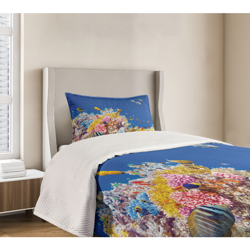 Tropical Corals Fish Bedspread Set