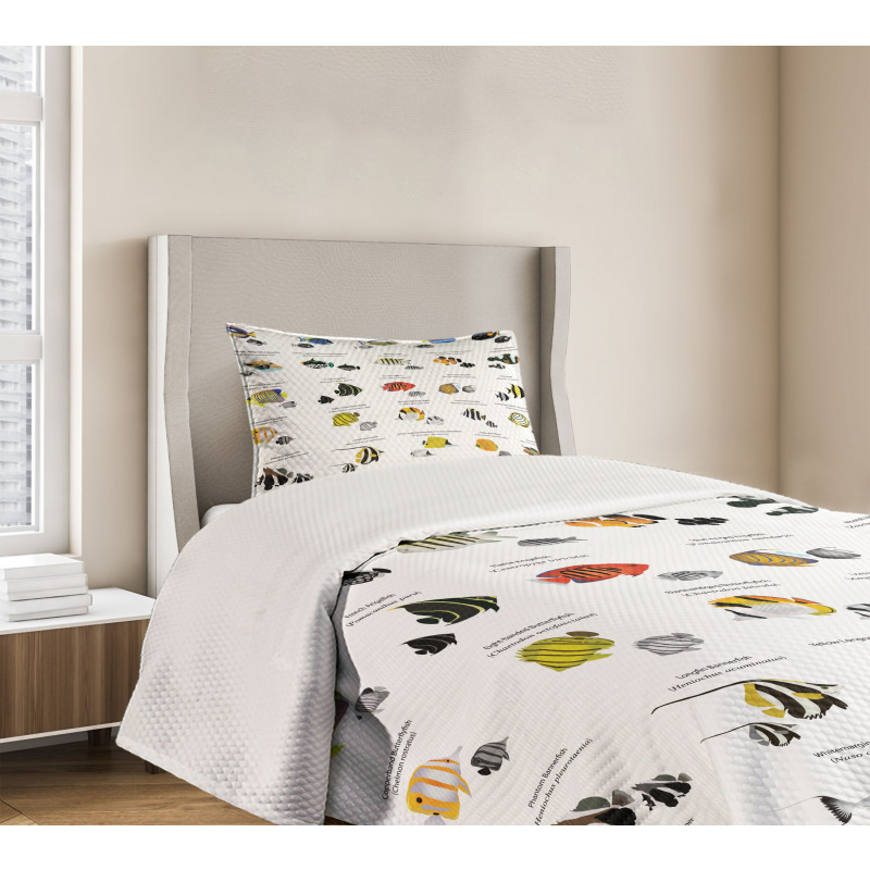 Underwater Aquatic Species Bedspread Set