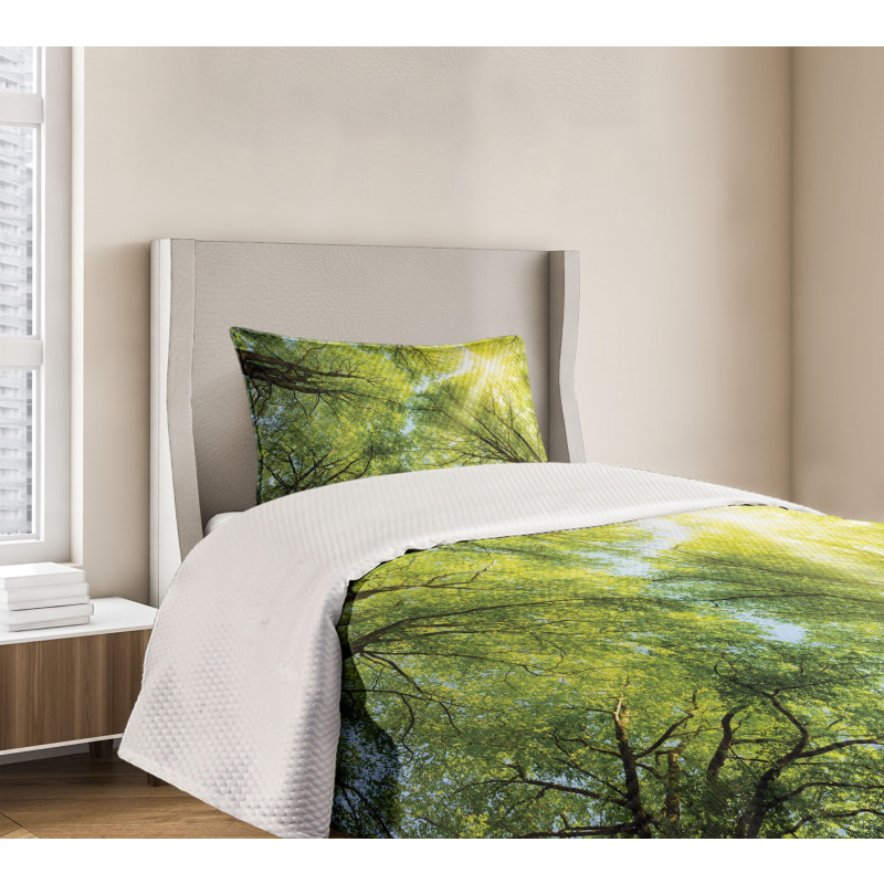 Romantic Beech Trees Bedspread Set