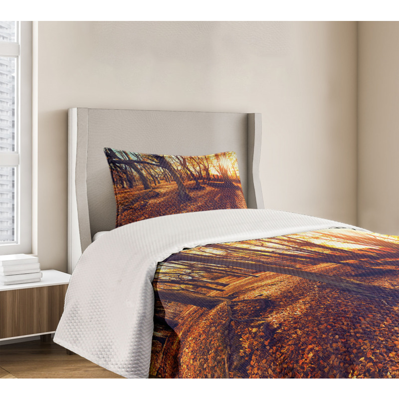 Sunset Forest Trees Bedspread Set