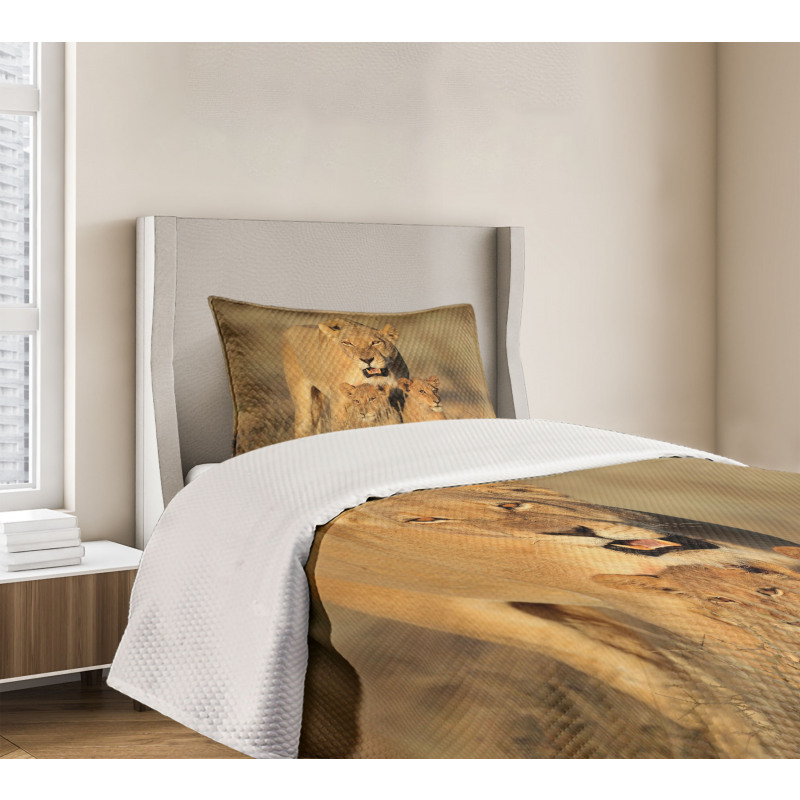 Safari Lions Wilderness Bedspread Set