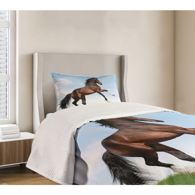 Horse Pacing on Grass Bedspread Set