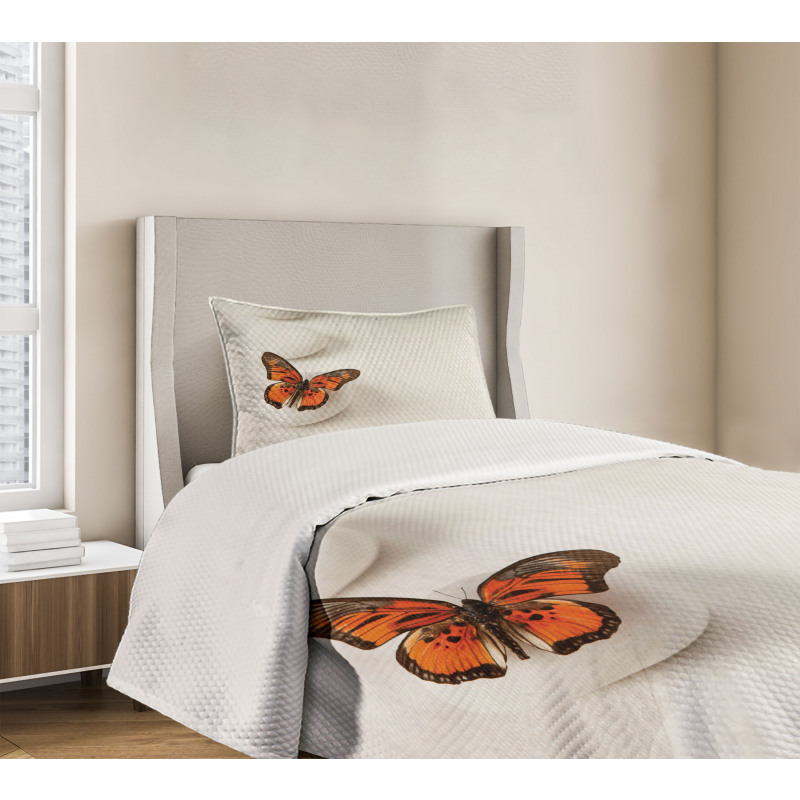 Butterfly Rocks Healing Bedspread Set