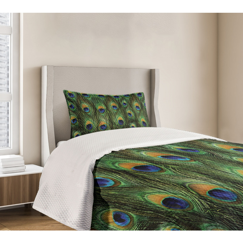 Exotic Animal Feathers Bedspread Set