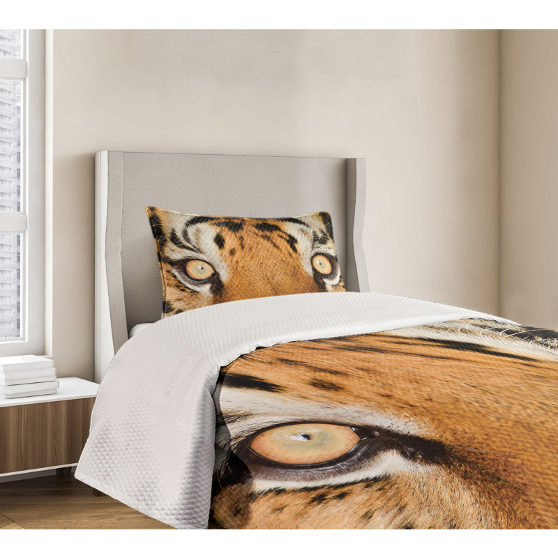 Tiger Eyes Wild Bedspread Set