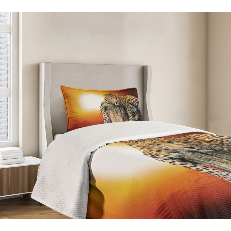 Safari Leopard on Tree Bedspread Set