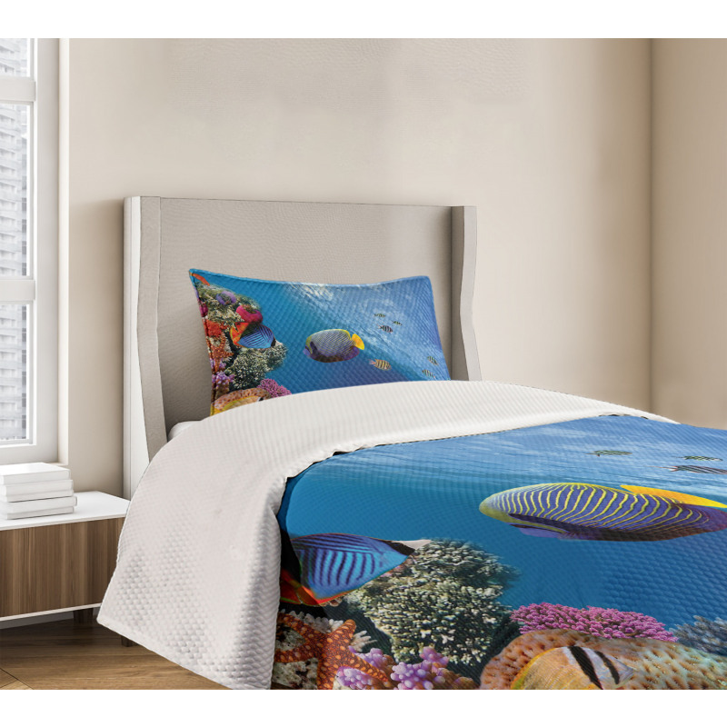 Underwater Fish Sea Bedspread Set