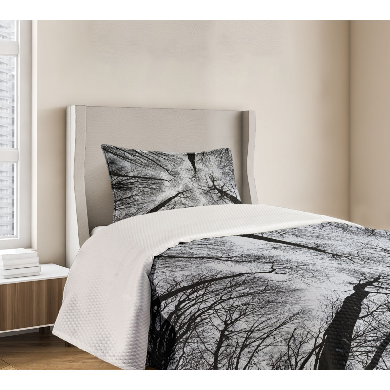 Dark Winter Forest Tree Bedspread Set