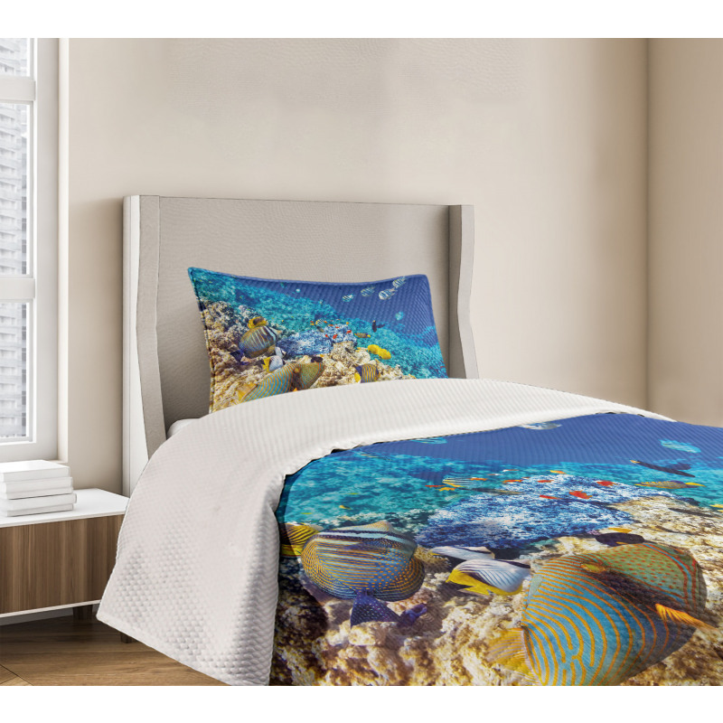 Aquatic Corals Bedspread Set