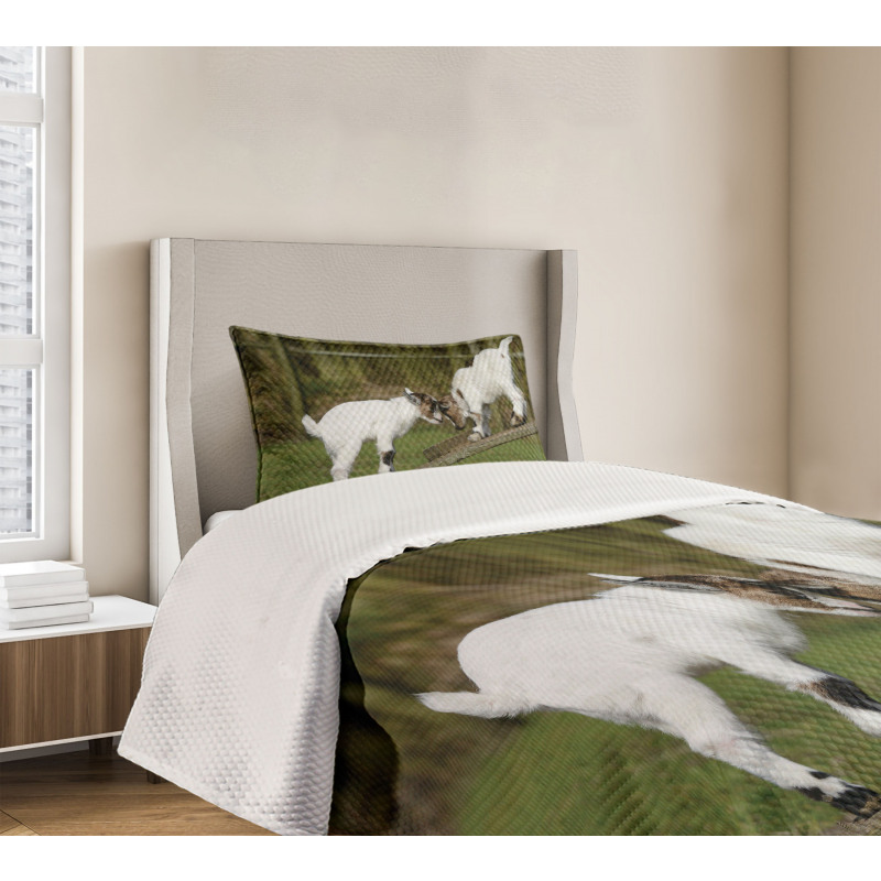 Farm Life with Goats Bedspread Set