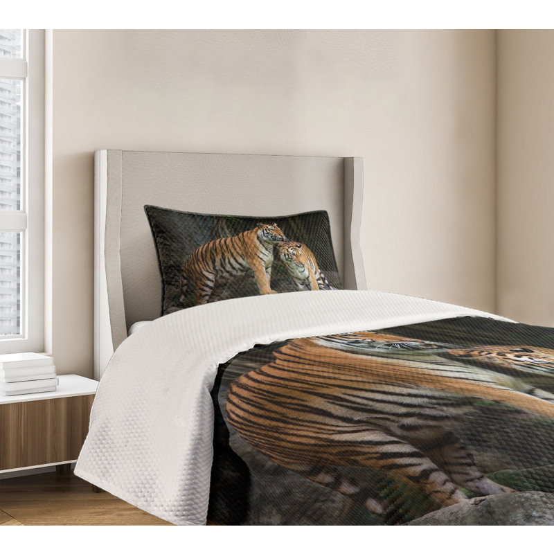 Tiger Couple in Jungle Bedspread Set