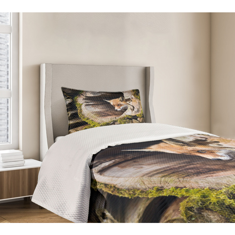 Nature Wild Fox Forest Bedspread Set