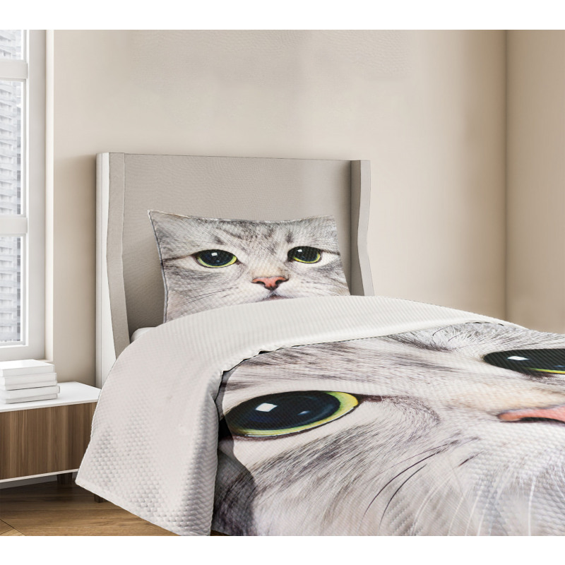 Face of a Domestic Kitty Bedspread Set