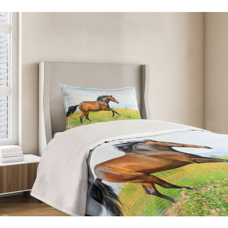 Horse Rural Flowers Bedspread Set