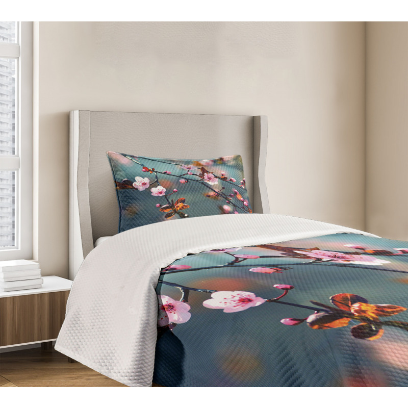 Blooming Sakura Flowers Bedspread Set