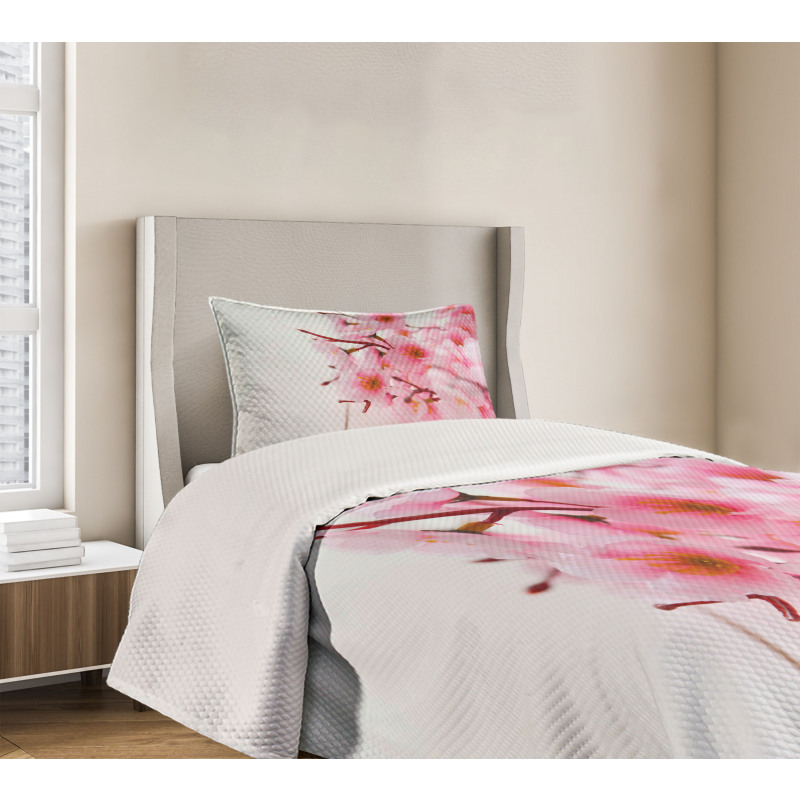 Cherry Blossom Petals Bedspread Set