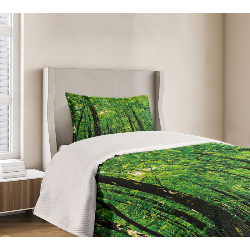 Woodland Tree Forest Sun Bedspread Set