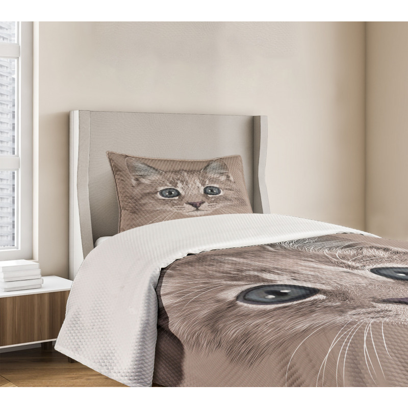 Domestic Cat Face Bedspread Set